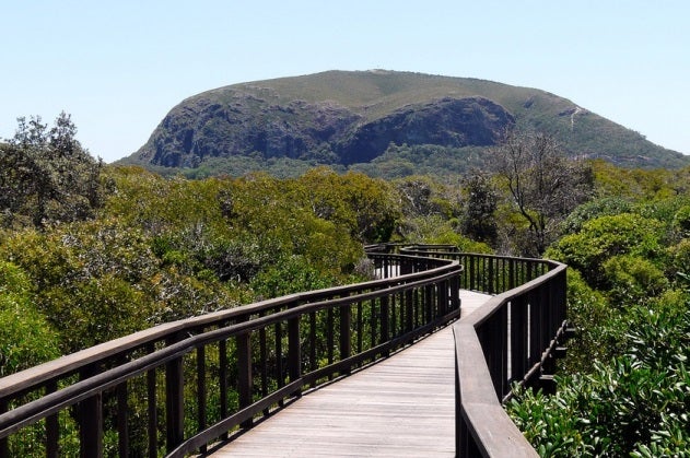 Mount Coolum Mount Coolum