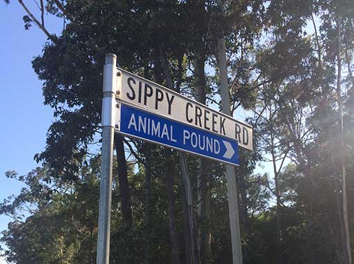 Noosa lost pets to be housed at Sippy Creek amid RSPCA closure