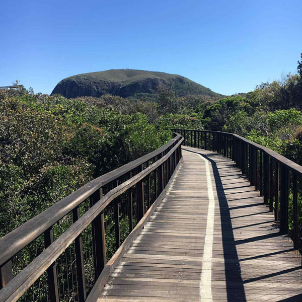 Coolum Advertiser - Free Local Paper