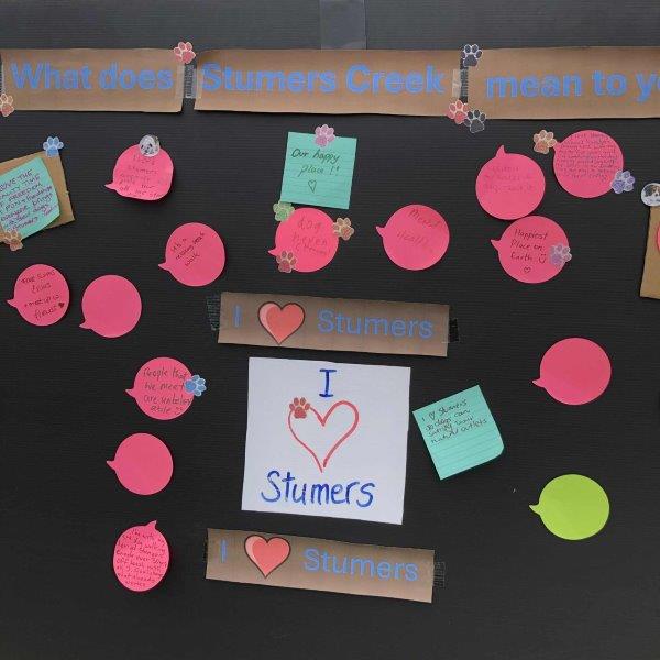 Dog group holds awareness day at Stumers Creek